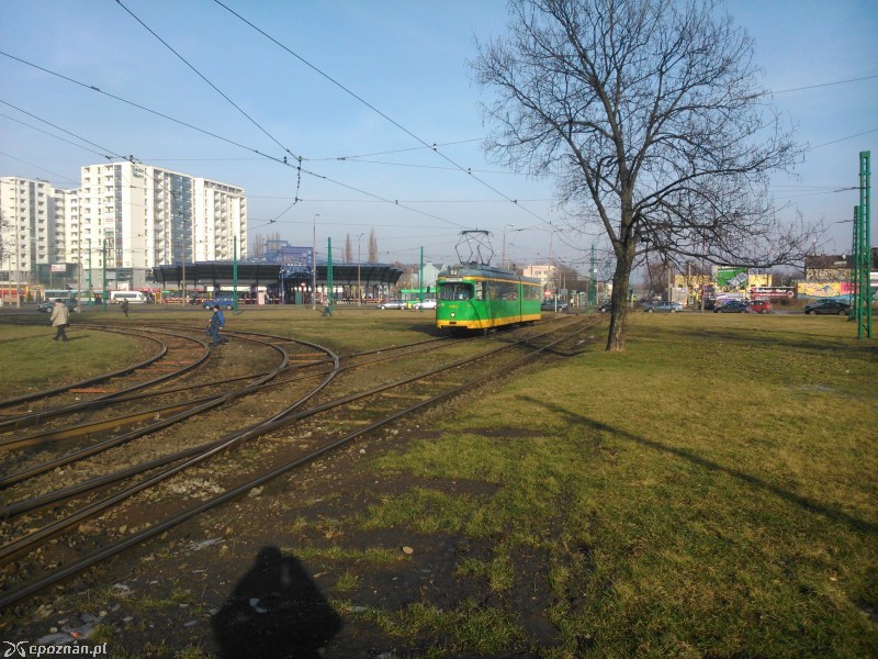 fot. Paweł Krzyżaniak