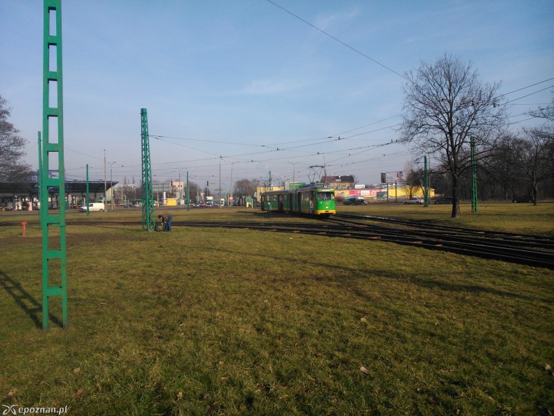 fot. Paweł Krzyżaniak