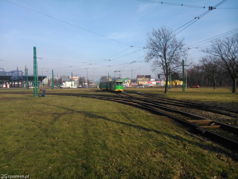 fot. Paweł Krzyżaniak