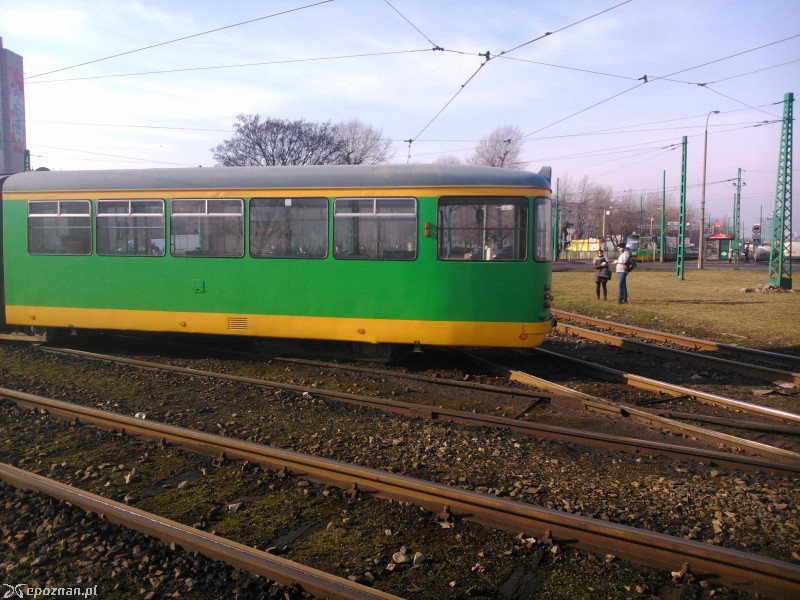 fot. Paweł Krzyżaniak
