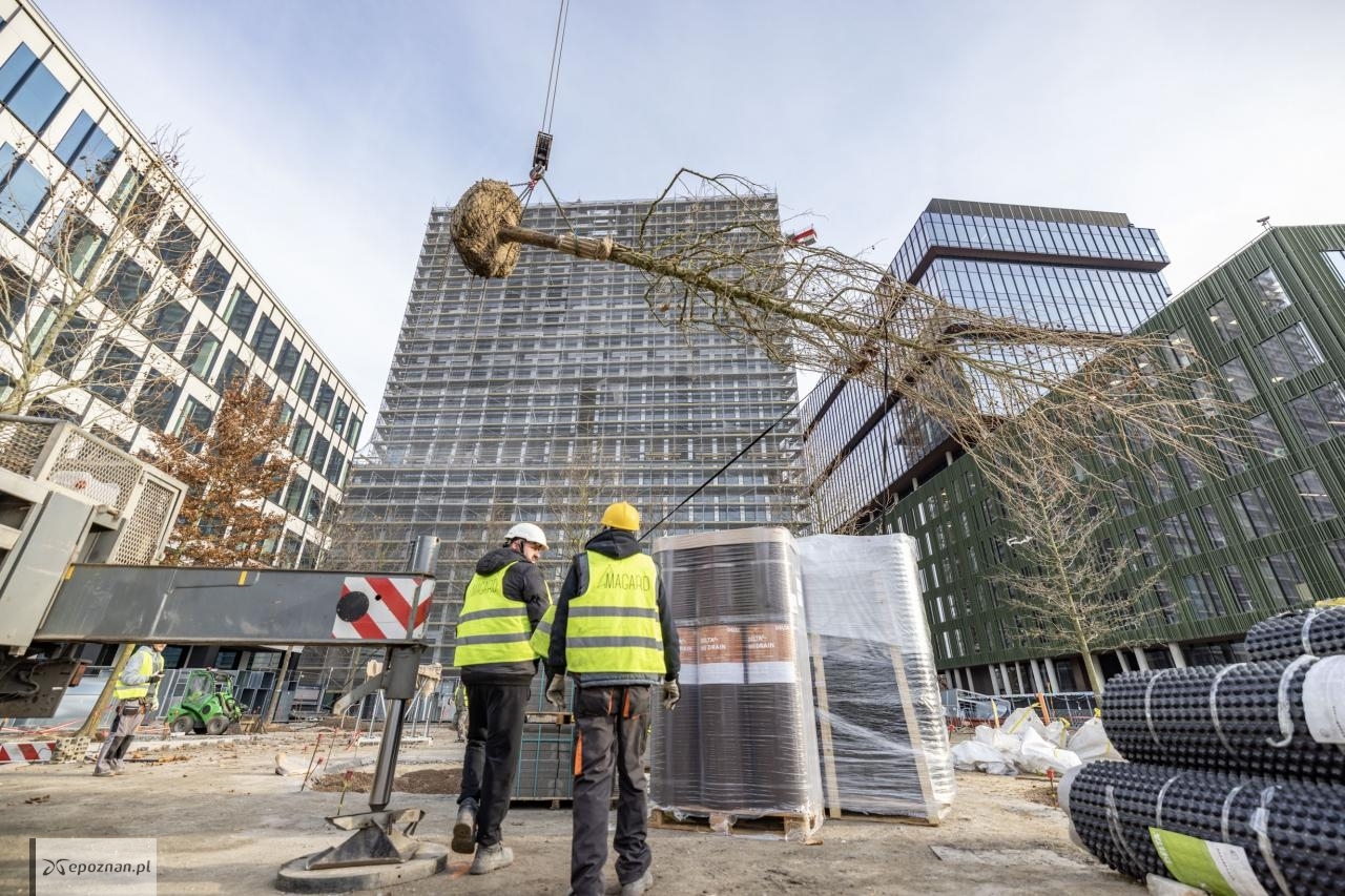 fot. Skanska