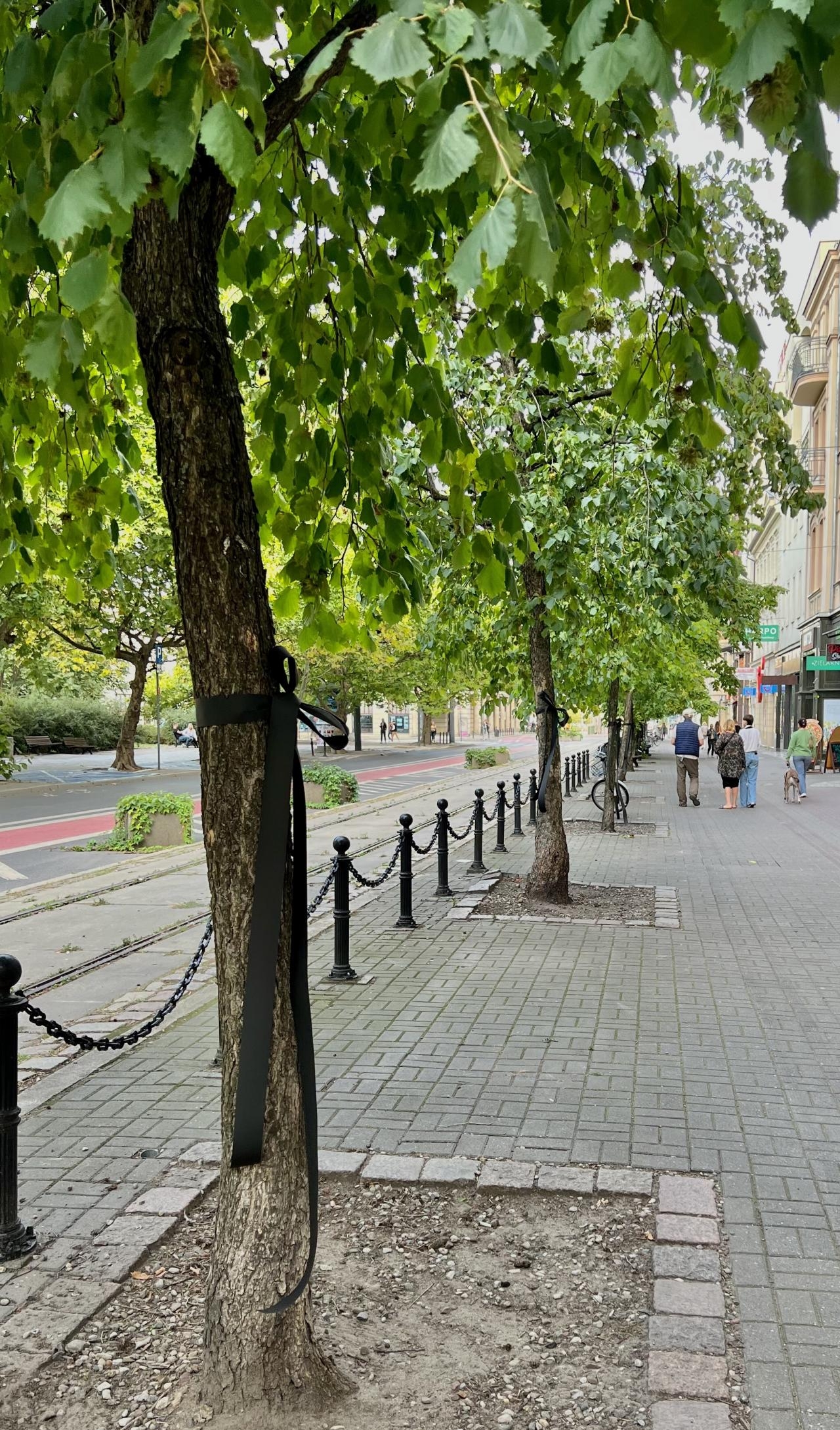 fot. Stowarzyszenie Plac Wolności