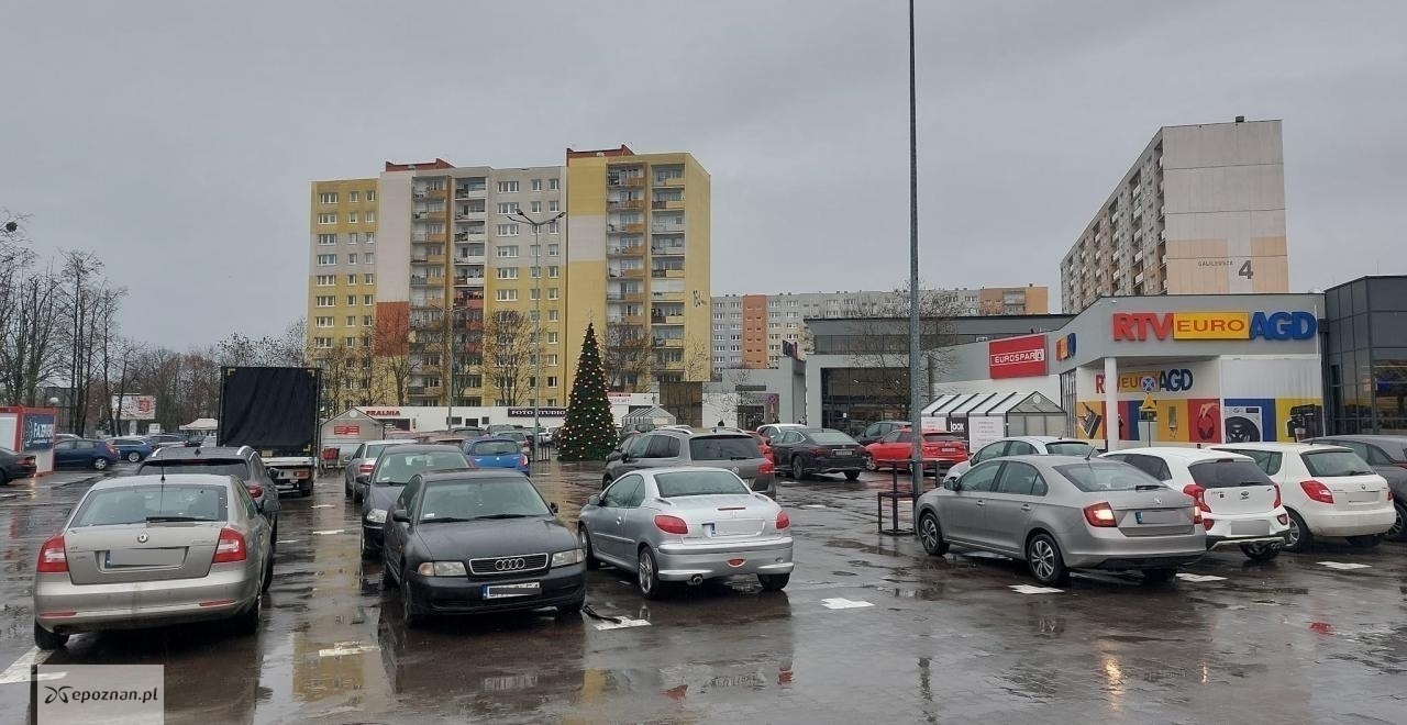 fot. LT