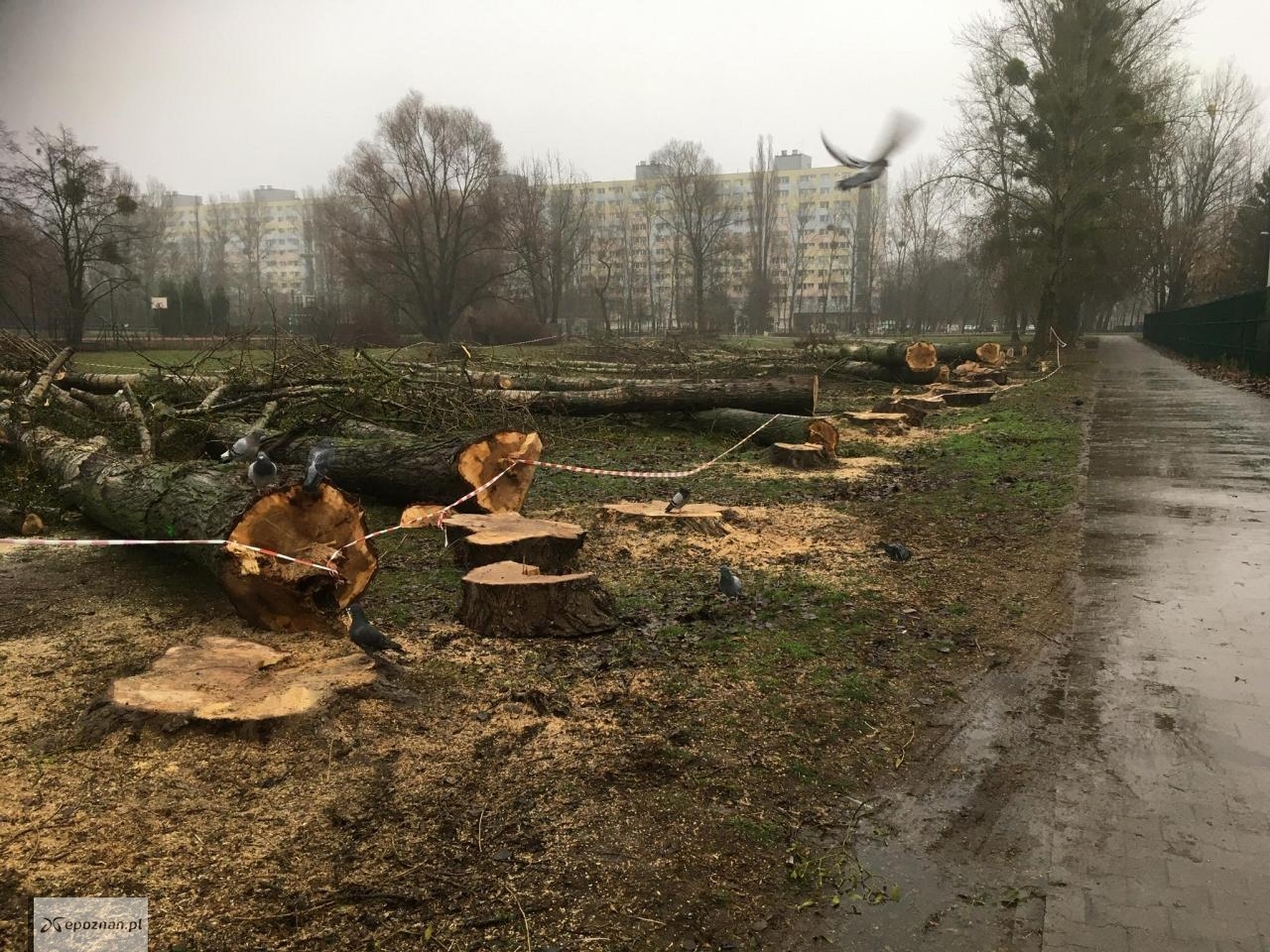 fot. Czytelniczka