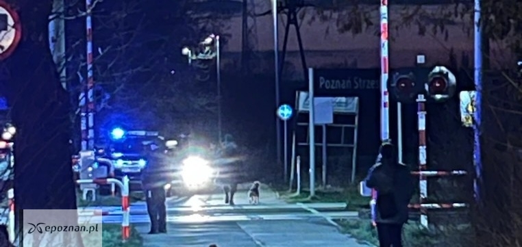 fot. Czytelnik