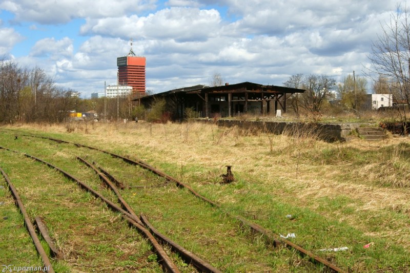 fot. Lech Hoff - archiwum
