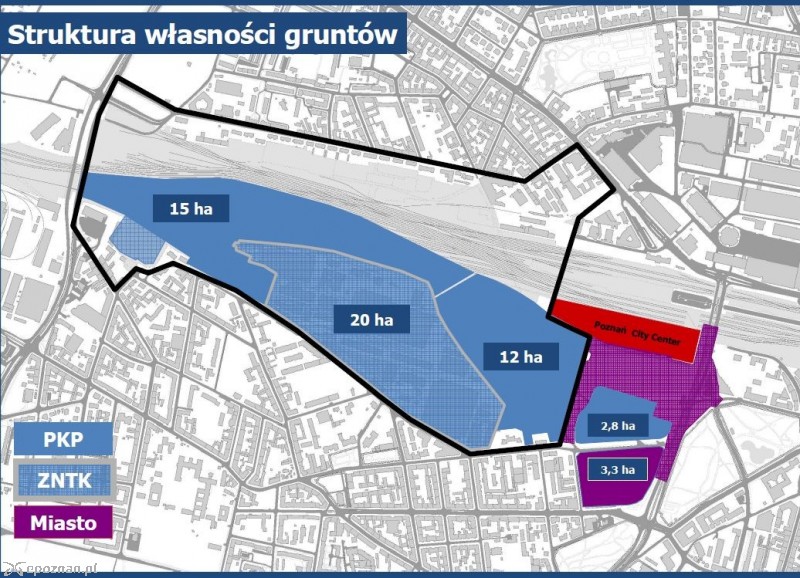 fot. materiały prasowe