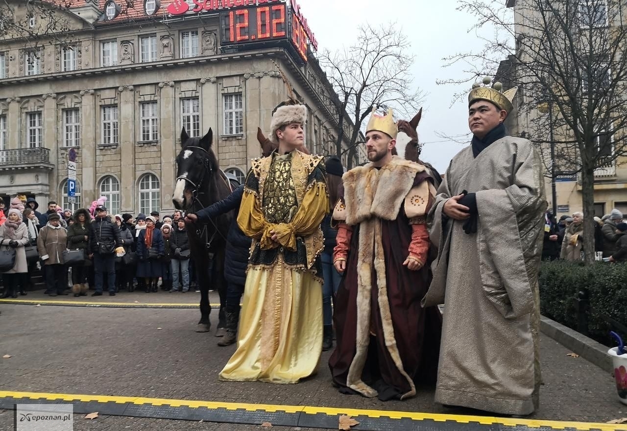 fot. Maciej Kopiński
