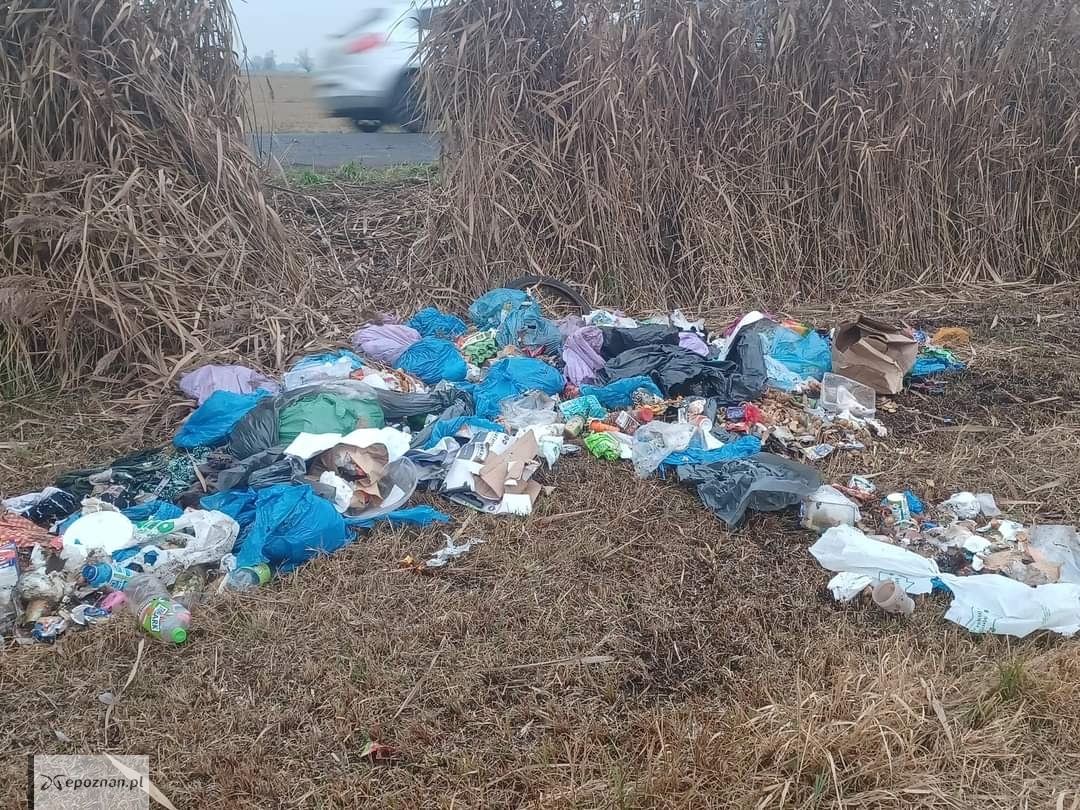 fot. Komenda Powiatowa Policji w Gostyniu.