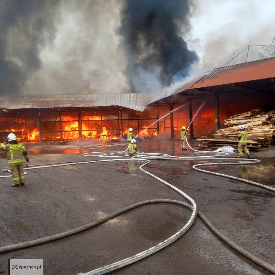 fot. Mariusz Piotr Woźniak / Wójt Grodźca