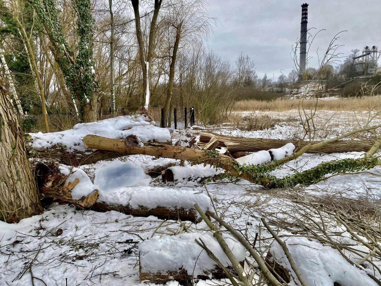 fot. Straż pożarna Trzemeszno