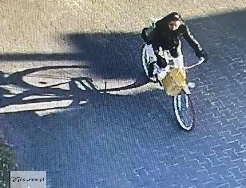 fot. policja