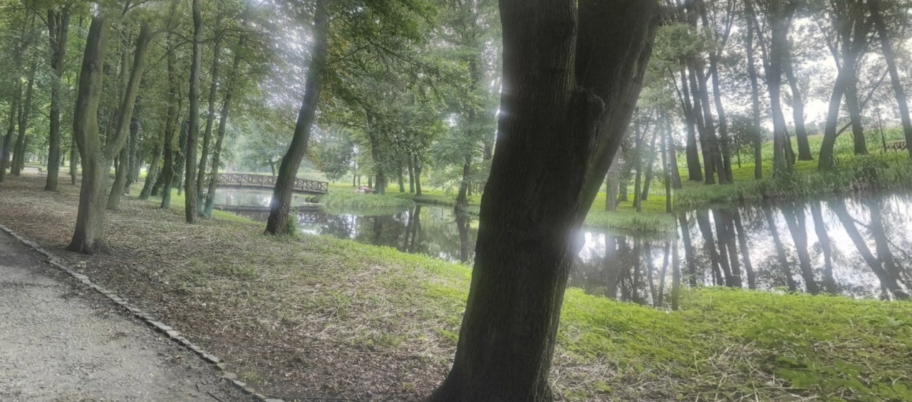 Zdjęcie ilustracyjne | fot. KGamerk / Google Street View