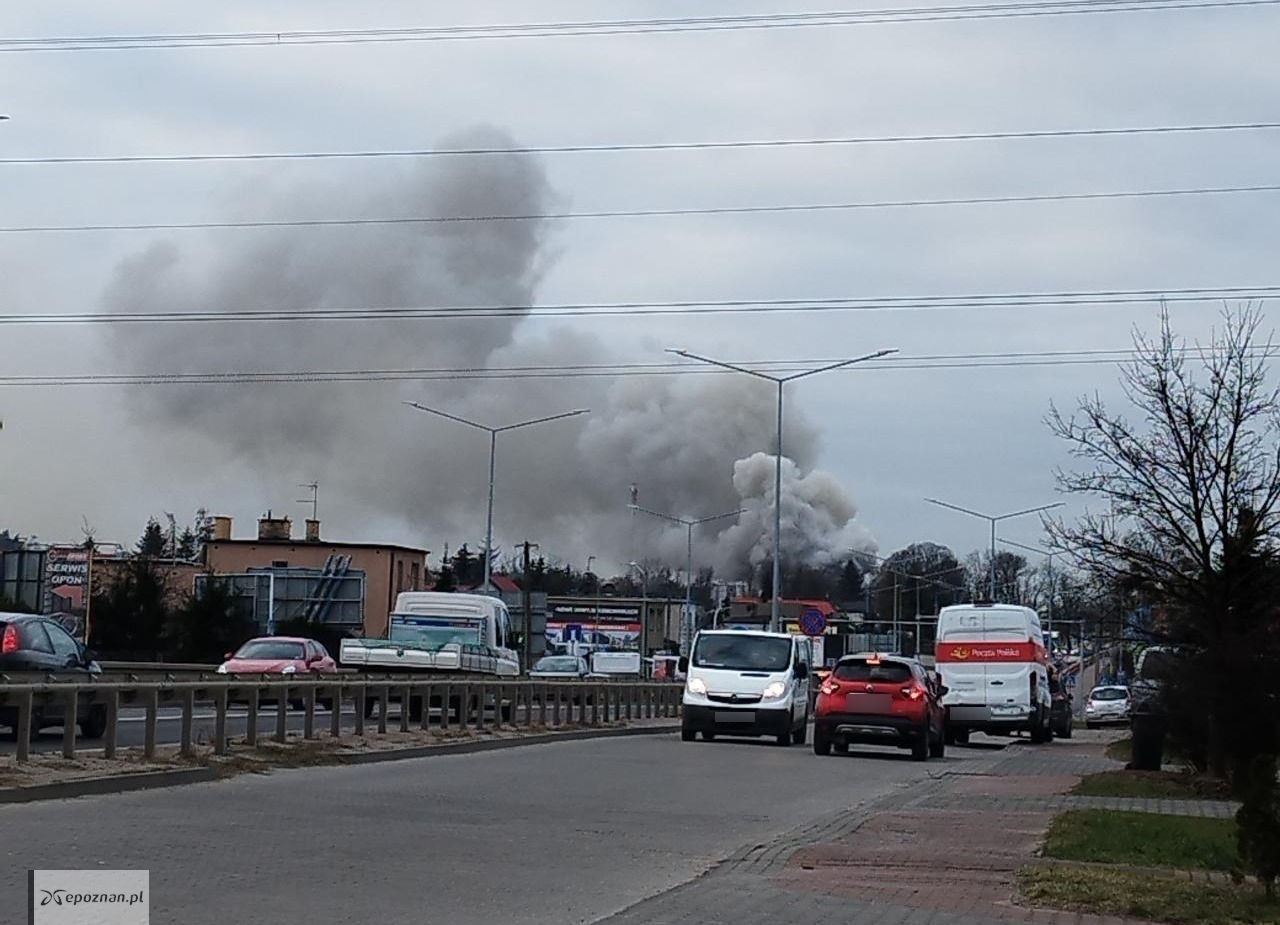 fot. Dąbrówka