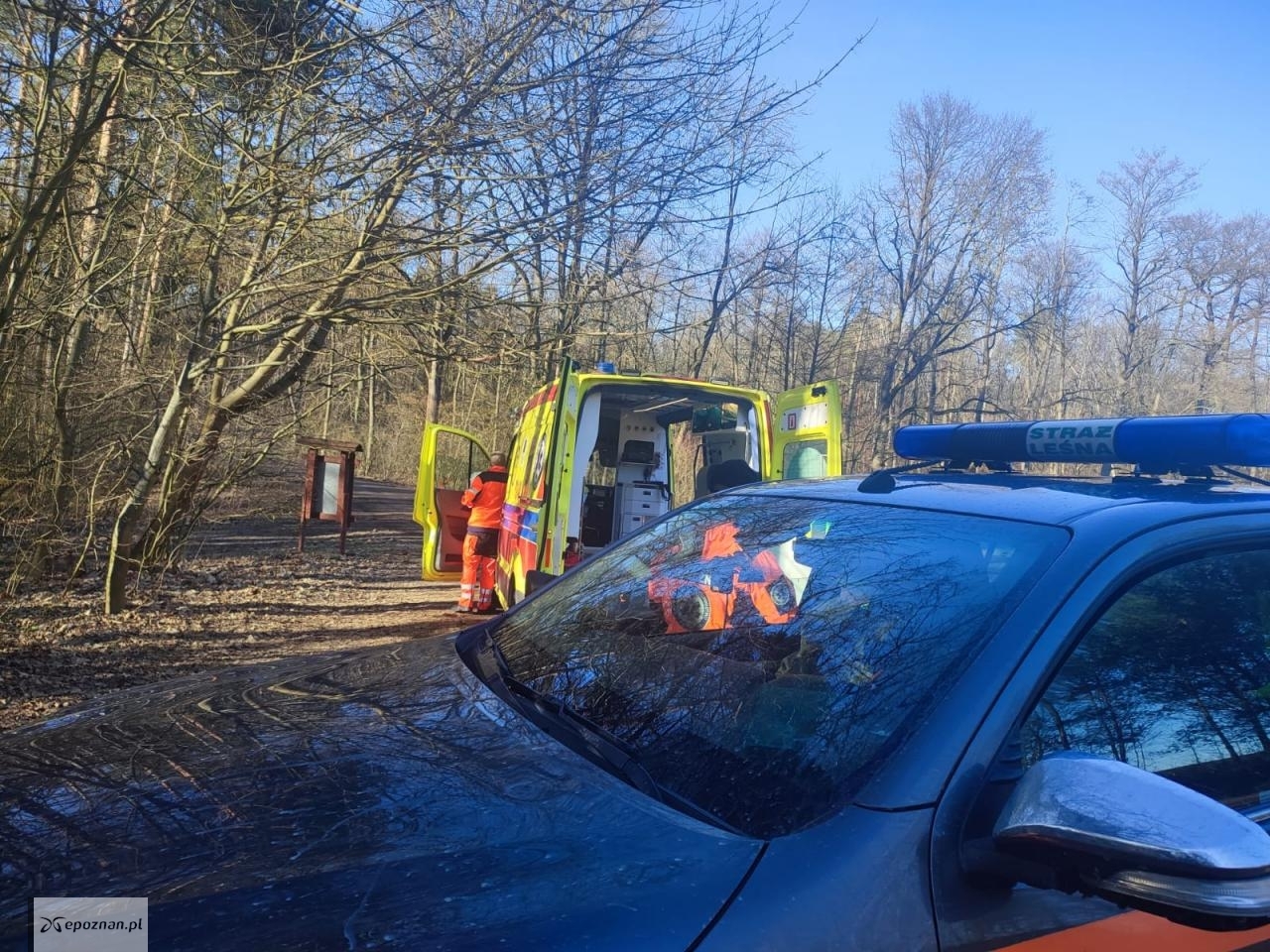 fot. Straż Leśna w Czerniejewie.