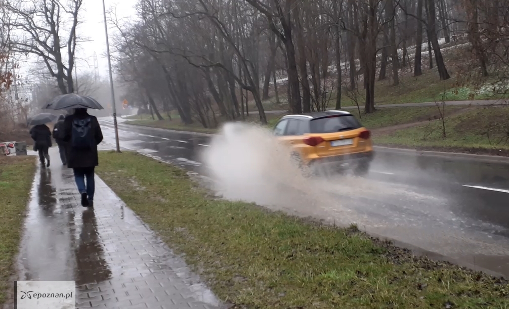 fot. Kadr filmu przesłanego od Czytelniczki.