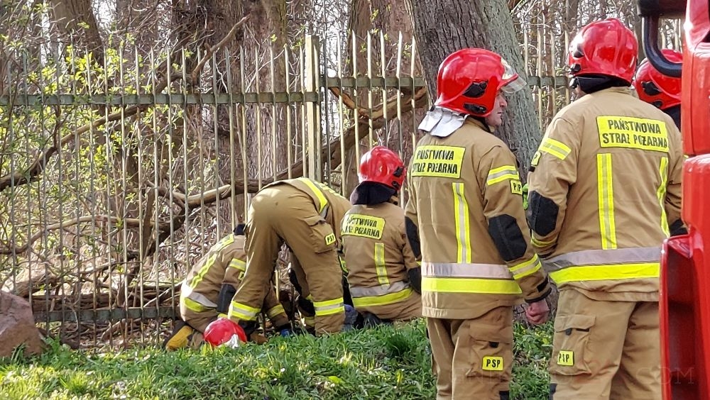 fot. gniezno24.com