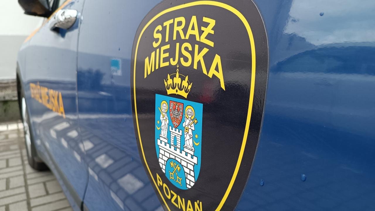 Zdjęcie ilustracyjne | fot. Straż miejska