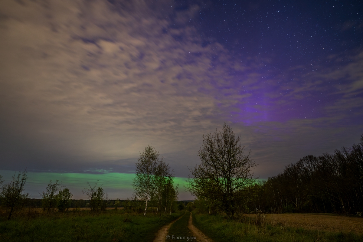 fot. Leszek Bartczak / Piorunująco