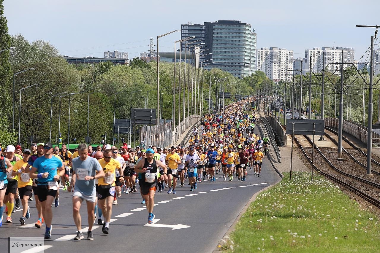 Ubiegłoroczny bieg | fot. LT