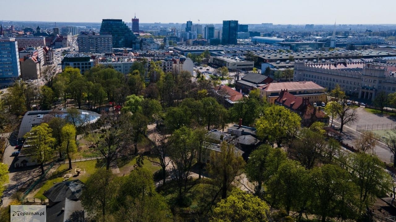 fot. UM Poznań