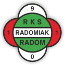 Radomiak Radom